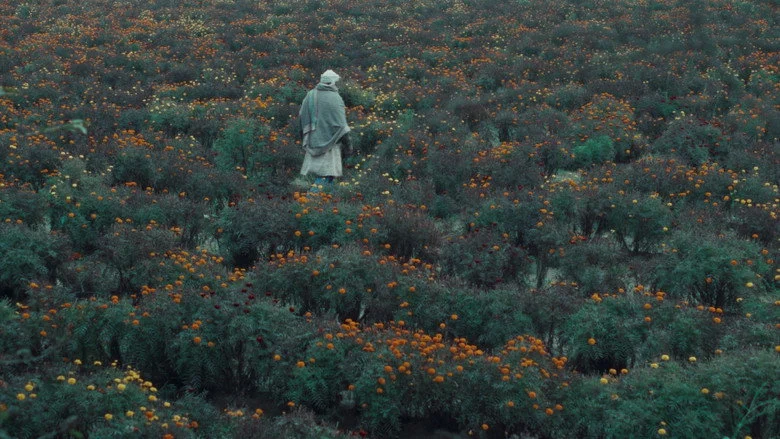 The Calf Doll (2026)