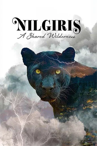 Nilgiris – A Shared Wilderness (2026)