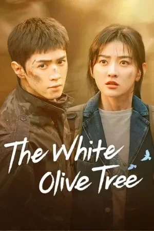 The White Olive Tree (2025)