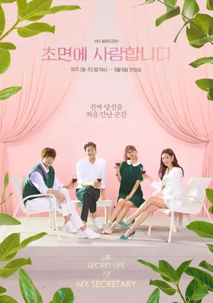 The Secret Life of My Secretary (Season 1)