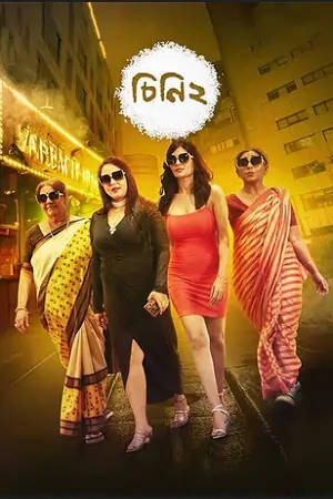 Cheeni 2 (2008)